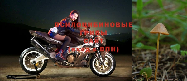 молекула духа Армянск