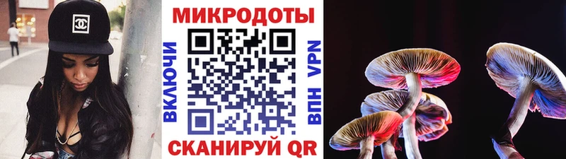 Галлюциногенные грибы Psilocybine cubensis  Няндома 